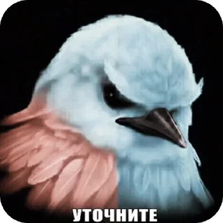 🌟 emoji вряд-ли😾 Telegram sticker 11 of 114