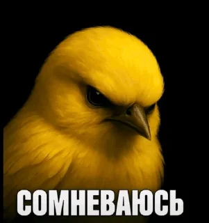 🌟 emoji Ебучие птицы/by мантис Telegram sticker 15 of 120