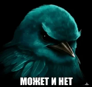 🌟 emoji Ебучие птицы/by мантис Telegram sticker 9 of 120