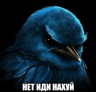 🌟 emoji Ебучие птицы/by мантис Telegram sticker 5 of 120