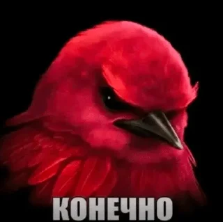 🌟 emoji Ебучие птицы/by мантис Telegram sticker 13 of 120
