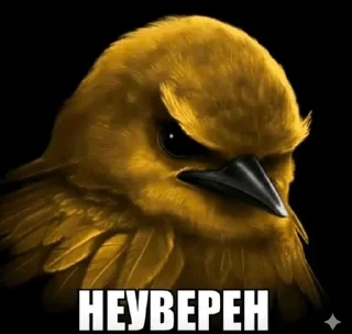 🌟 emoji Ебучие птицы/by мантис Telegram sticker 22 of 120