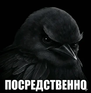 🌟 emoji Ебучие птицы/by мантис Telegram sticker 4 of 120