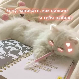 ❤️ emoji @sempai21 Милые котики Telegram sticker 19 of 30