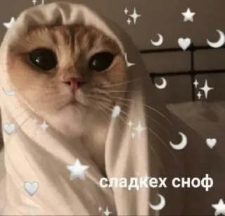 ❤️ emoji @sempai21 Милые котики Telegram sticker 6 of 30