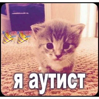 🥴 emoji Ну и конечно котикиииии @matvey357daf Telegram sticker 13 of 104