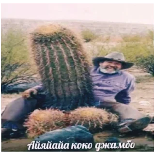 🙈 emoji бархатные тяги Telegram sticker 17 of 19