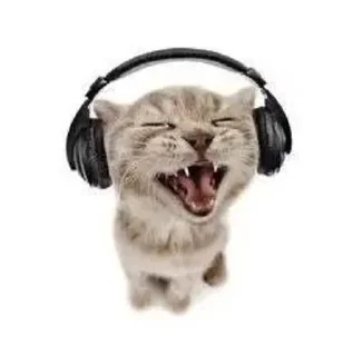 Sticker from cats by. @MortonPlug