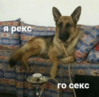 Sticker from Хули нам тракторам https://t.m