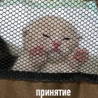 😔 emoji хуйлуши бьют баклуши Telegram sticker 18 of 34