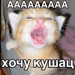 😭 emoji Котеке 2 Telegram sticker 22 of 90