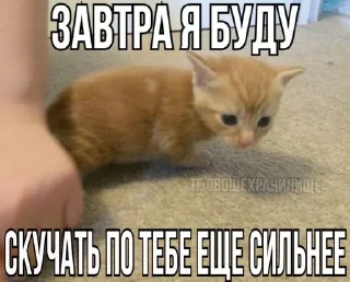 Sticker from китики
