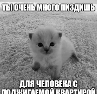 Sticker from пиздццц