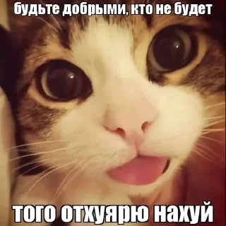 😇 emoji китики Telegram sticker 7 of 119