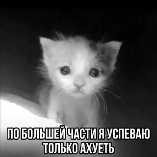 🌟 emoji пиздццц Telegram sticker 18 of 19