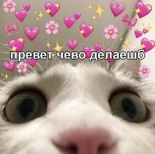 Sticker from назв:прорвало ночью
