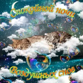 😴 emoji коты и тексты Telegram sticker 14 of 33