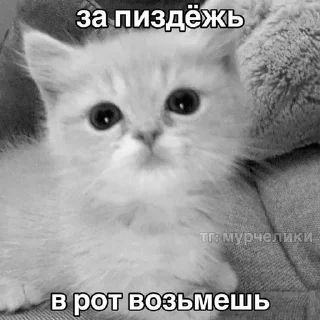 🌟 emoji пиздццц Telegram sticker 12 of 19
