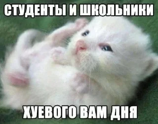 ❤️‍🔥 emoji китики Telegram sticker 5 of 119