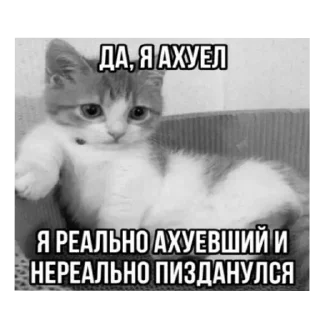 🐱 emoji пиздццц Telegram sticker 6 of 19