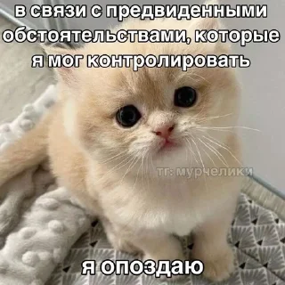 🕕 emoji китики Telegram sticker 11 of 119