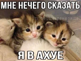 😳 emoji китики Telegram sticker 22 of 119