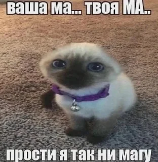🌟 emoji #ячмо Telegram sticker 12 of 33