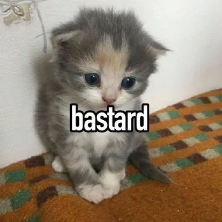 🌟 emoji #ячмо Telegram sticker 14 of 33