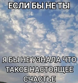 🌟 emoji 🦎 Integral Lizard Telegram sticker 10 of 33
