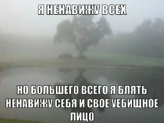 🌟 emoji пиздец жизяка Telegram sticker 23 of 55