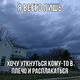 🌟 emoji пиздец жизяка Telegram sticker 11 of 55