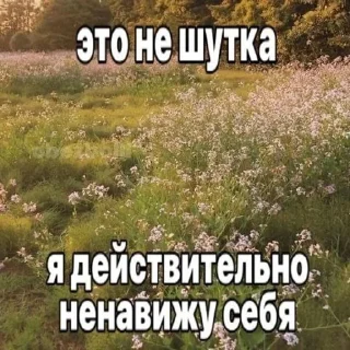 🌟 emoji пиздец жизяка Telegram sticker 20 of 55