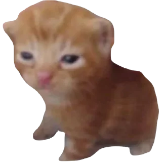 🌟 emoji смешнявкины :: @swetstick Telegram sticker 9 of 10