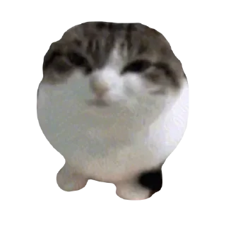 🌟 emoji смешнявкины :: @swetstick Telegram sticker 7 of 10