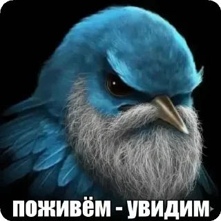 🌟 emoji @KokosicLox больше стикеров Telegram sticker 20 of 54