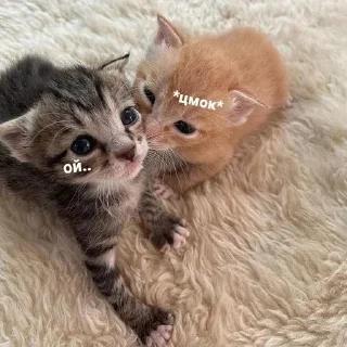 💋 emoji котеки от аришки Telegram sticker 13 of 63