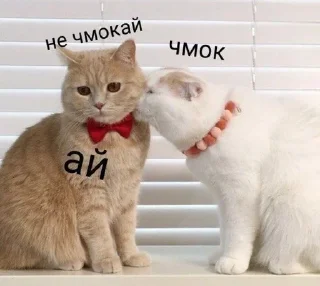 💋 emoji котеки от аришки Telegram sticker 6 of 63