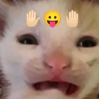 😛 emoji члены Telegram sticker 24 of 59