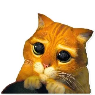 😿 emoji BoreeWaysLeal Telegram sticker 6 of 110