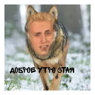 🐺 emoji тринадцать стай Telegram sticker 7 of 7