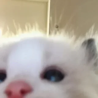 💗 emoji Личный пак А давай2 Telegram sticker 18 of 56