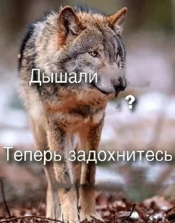 🌟 emoji cringули 2 Telegram sticker 12 of 89