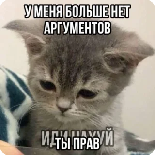 🌟 emoji А вот да - пизд@ Telegram sticker 9 of 43