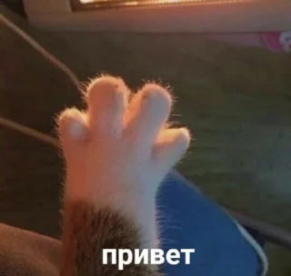 😜 emoji хуйня Telegram sticker 17 of 31