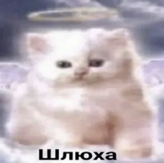 🙅 emoji стики на все случаи жизни Telegram sticker 13 of 50