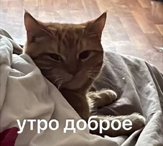 Sticker from Сеня