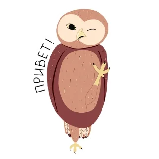 ✋ emoji JustAnOwl Telegram sticker 11 of 12
