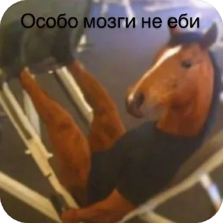 Sticker from Меми