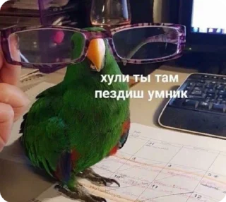 🌟 emoji меми за 1 касарь айкью наліка Telegram sticker 21 of 45