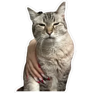 🫥 emoji Чипулик Telegram sticker 11 of 18